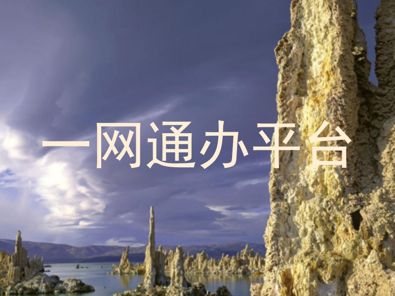 一网通办平台