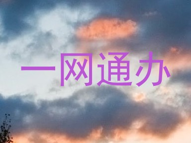 一网通办