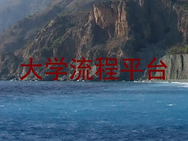 大学流程平台