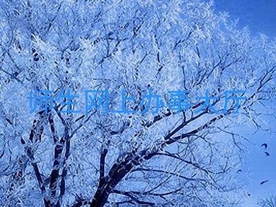 师生网上办事大厅