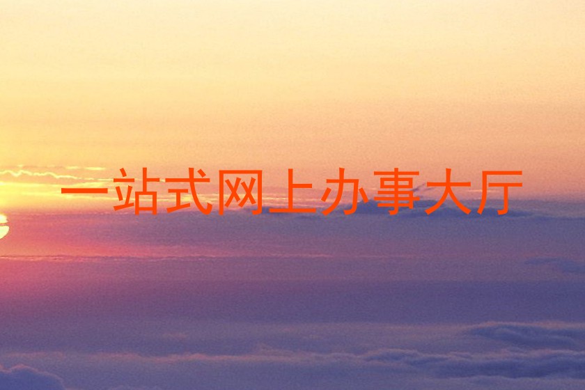一站式网上办事大厅