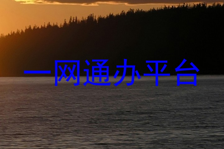 一网通办平台
