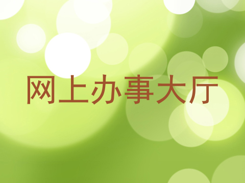 网上办事大厅