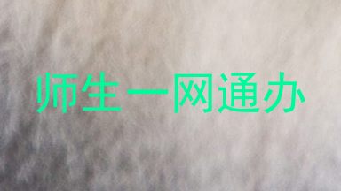 师生一网通办