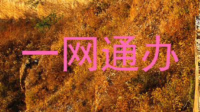 一网通办
