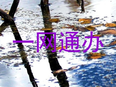 一网通办
