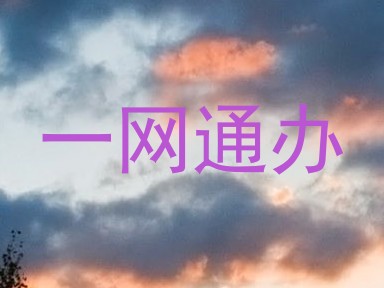 一网通办