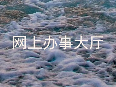 网上办事大厅