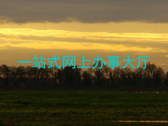 一站式网上办事大厅