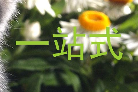 一站式