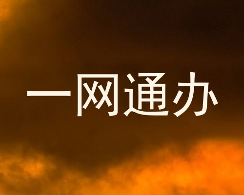一网通办