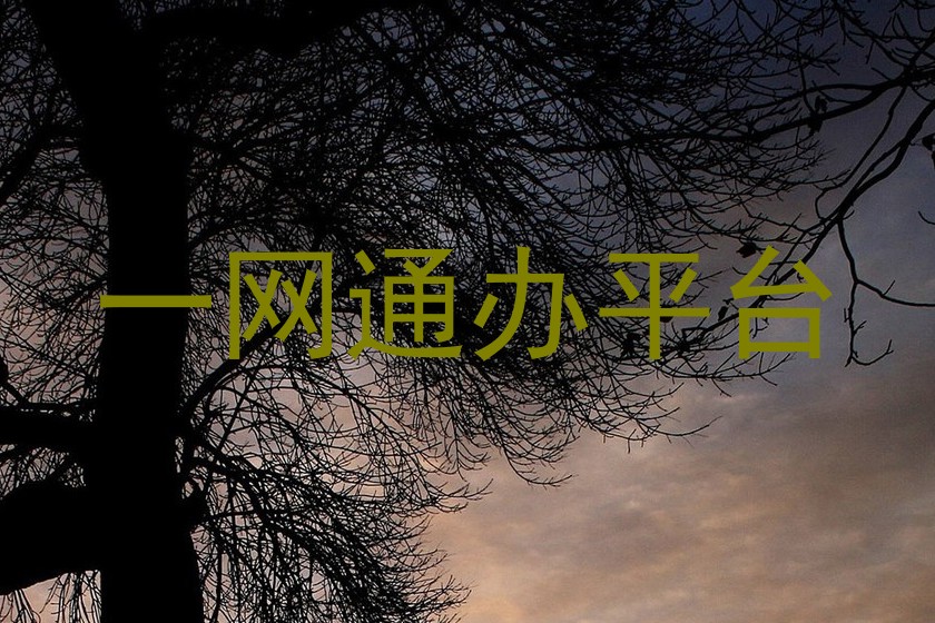 一网通办