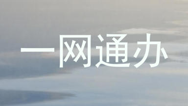 一网通办