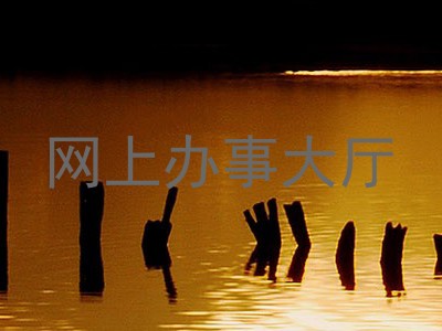 网上办事大厅
