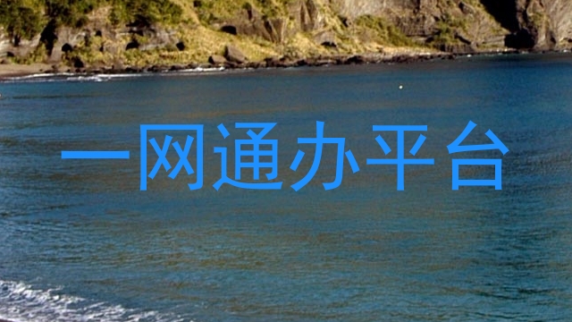 一网通办平台