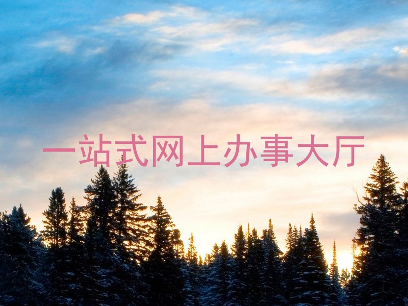 一站式网上办事大厅