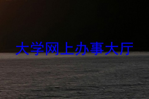 大学网上办事大厅