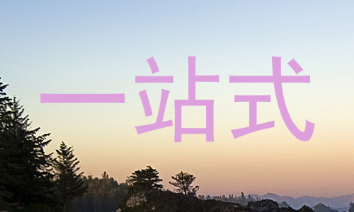 一站式