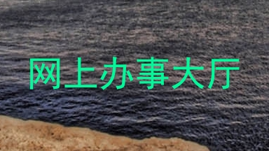 网上办事大厅