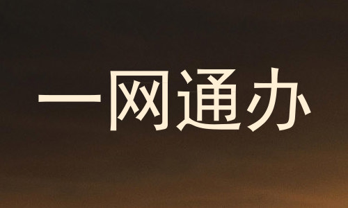 一网通办