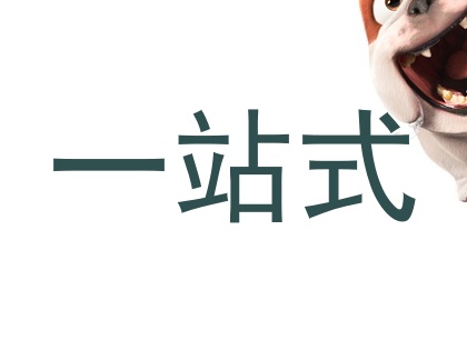 一站式