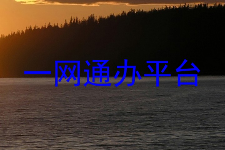 一网通办平台