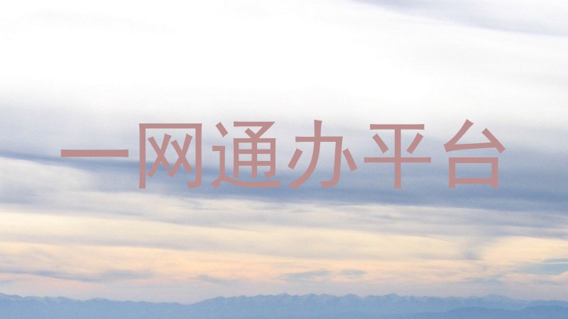 一网通办平台