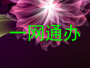 一网通办
