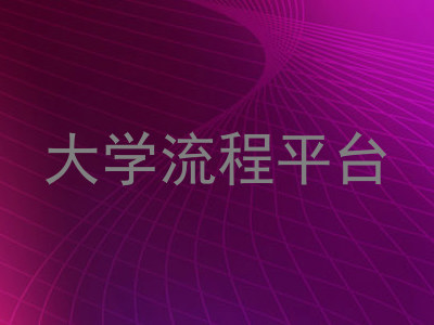 大学流程平台