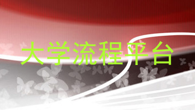大学流程平台