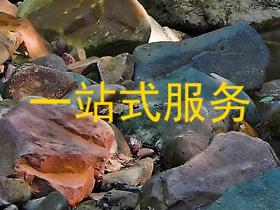 一站式服务