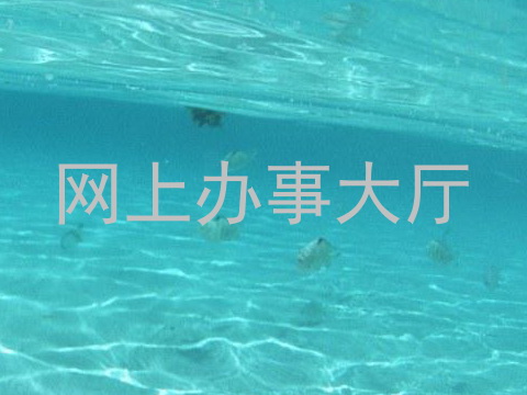 网上办事大厅