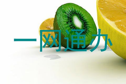 一网通办