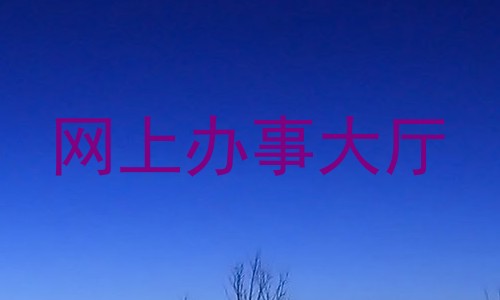 网上办事大厅