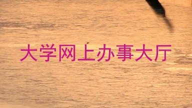 大学网上办事大厅