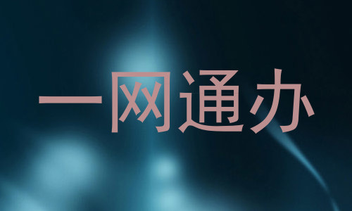 一网通办