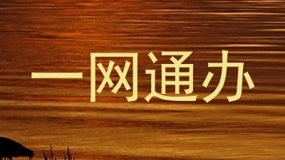 一网通办