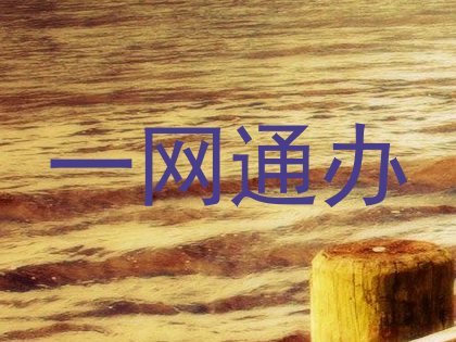 一网通办