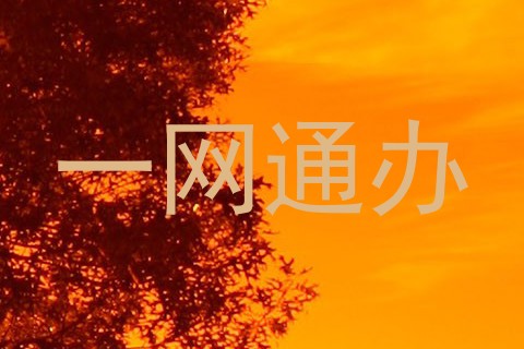 一网通办