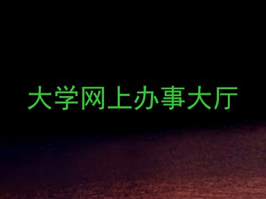 大学网上办事大厅