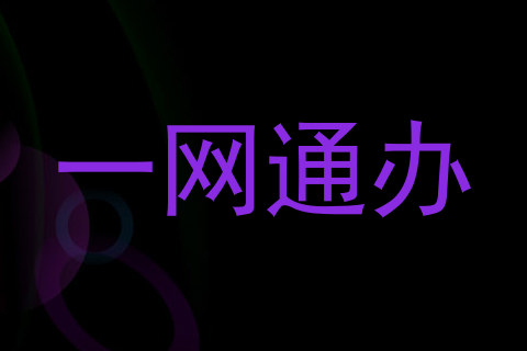 一网通办