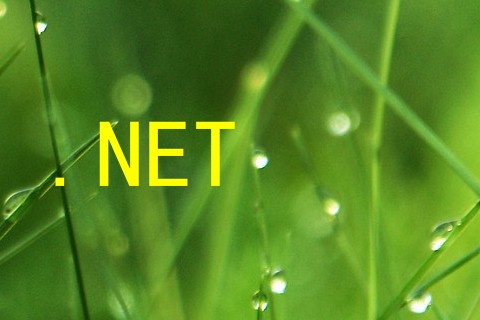 .NET
