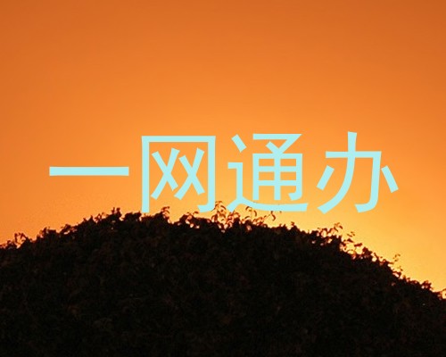 一网通办
