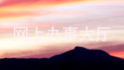 网上办事大厅