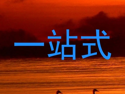 一站式