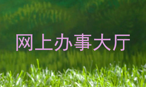 网上办事大厅