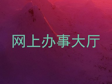 网上办事大厅