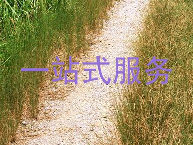 一站式服务