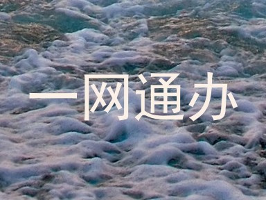 一网通办