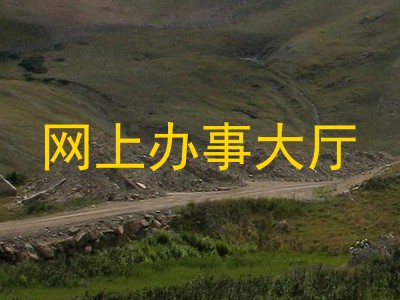 网上办事大厅